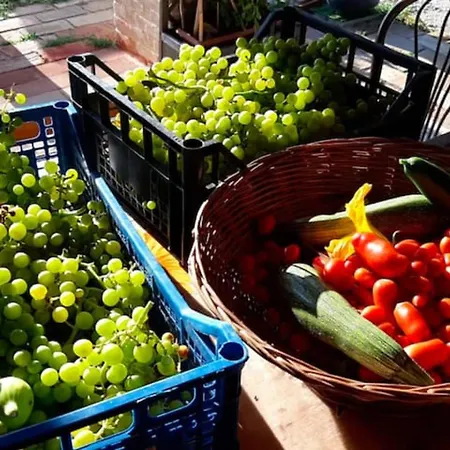 Domus Gio Gio * Saludecio