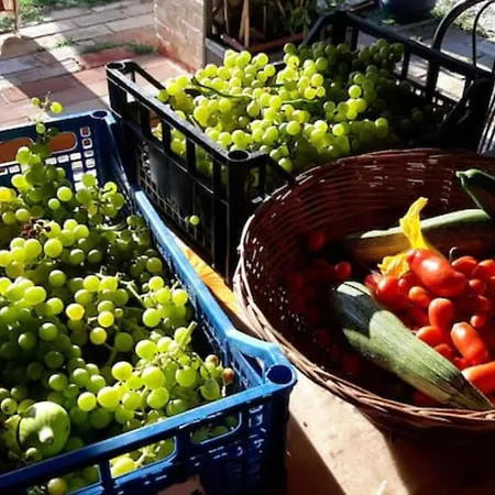 別荘 Domus Gio Gio Saludecio