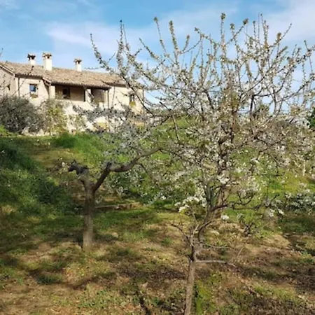 Domus Gio Gio *