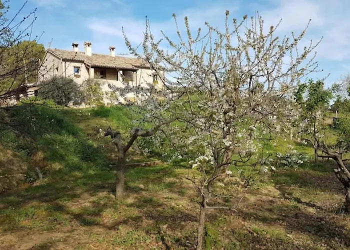 Domus Gio Gio 度假居 *