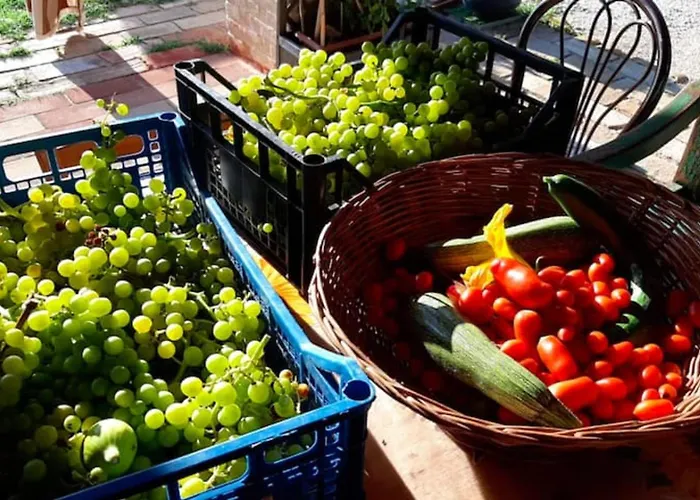 Domus Gio Gio * Saludecio