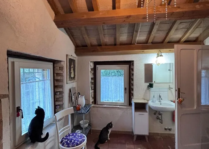 Domus Gio Gio 別荘 Saludecio