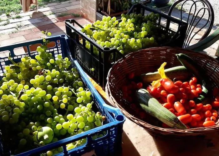 度假居 Domus Gio Gio Saludecio